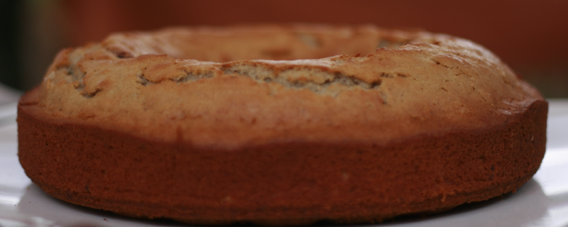 BioDessert